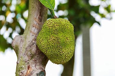 宫崎英高称《只狼》是FS社转折点 未来游戏更快更流畅